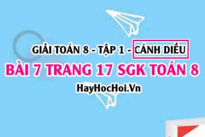 Giải bài 7 trang 17 Toán 8 Tập 1 SGK Cánh Diều